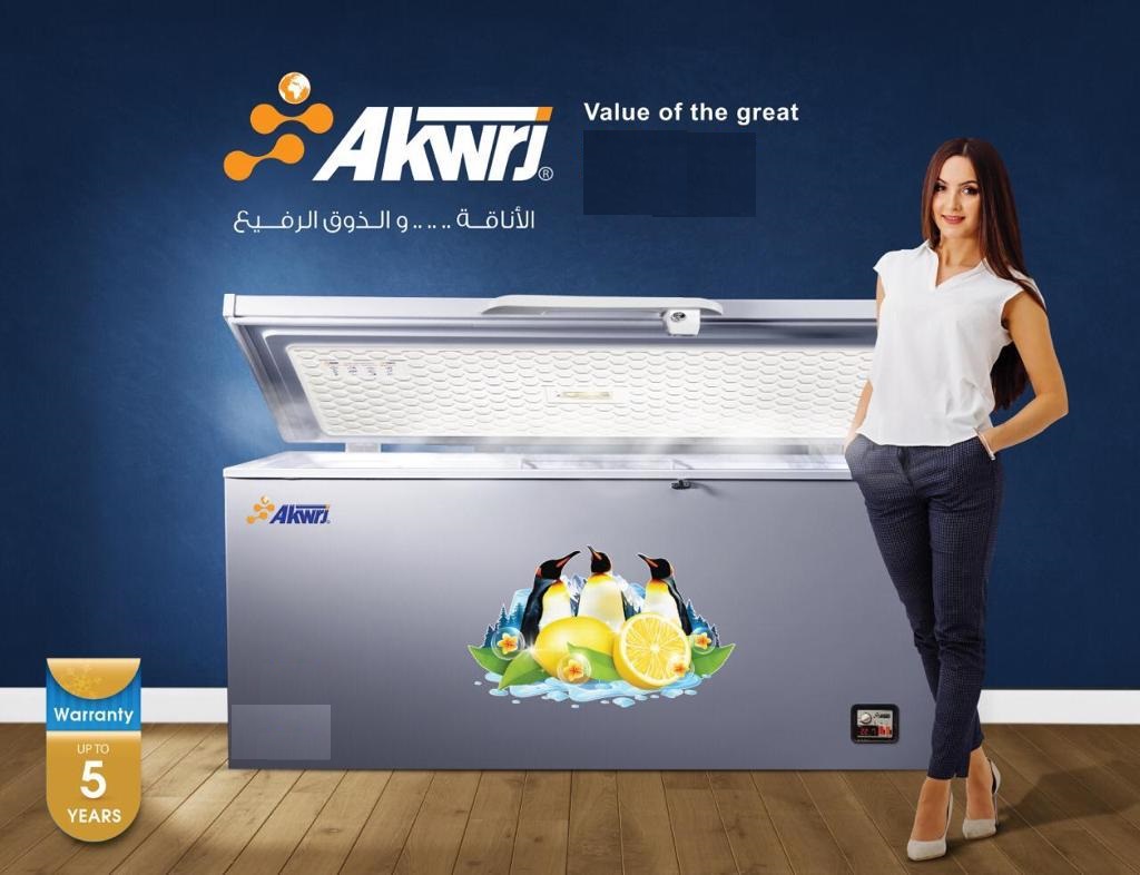 Aquarj Deep Freezer 240 Liter silver